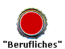  "Berufliches" 