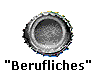  "Berufliches" 